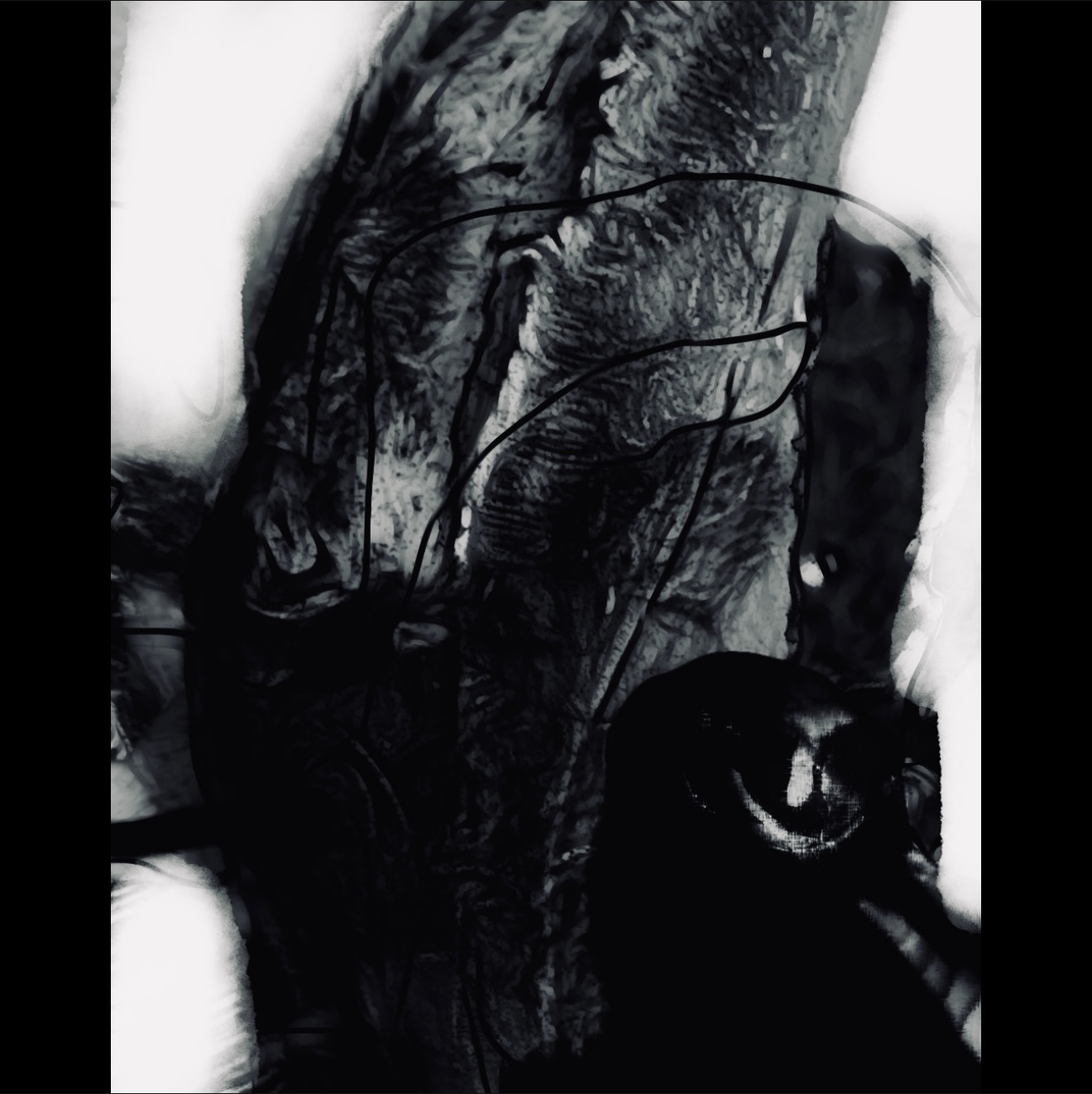 Robert Renher bei Wienartig